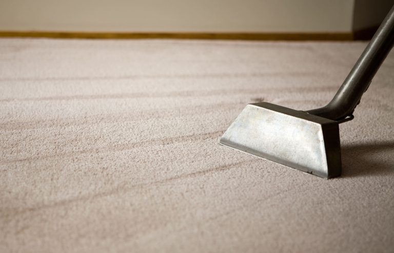 carpet cleaning services