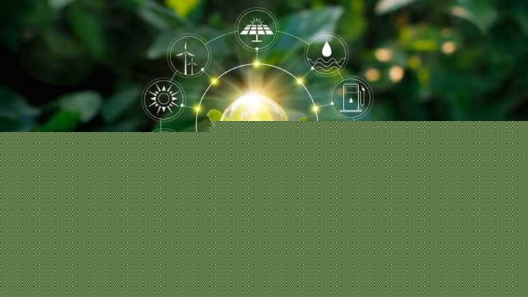 What are some eco-friendly ways for the environment